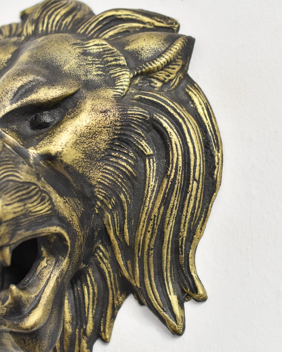 Close up of mane detail on lion head animal wall bust
