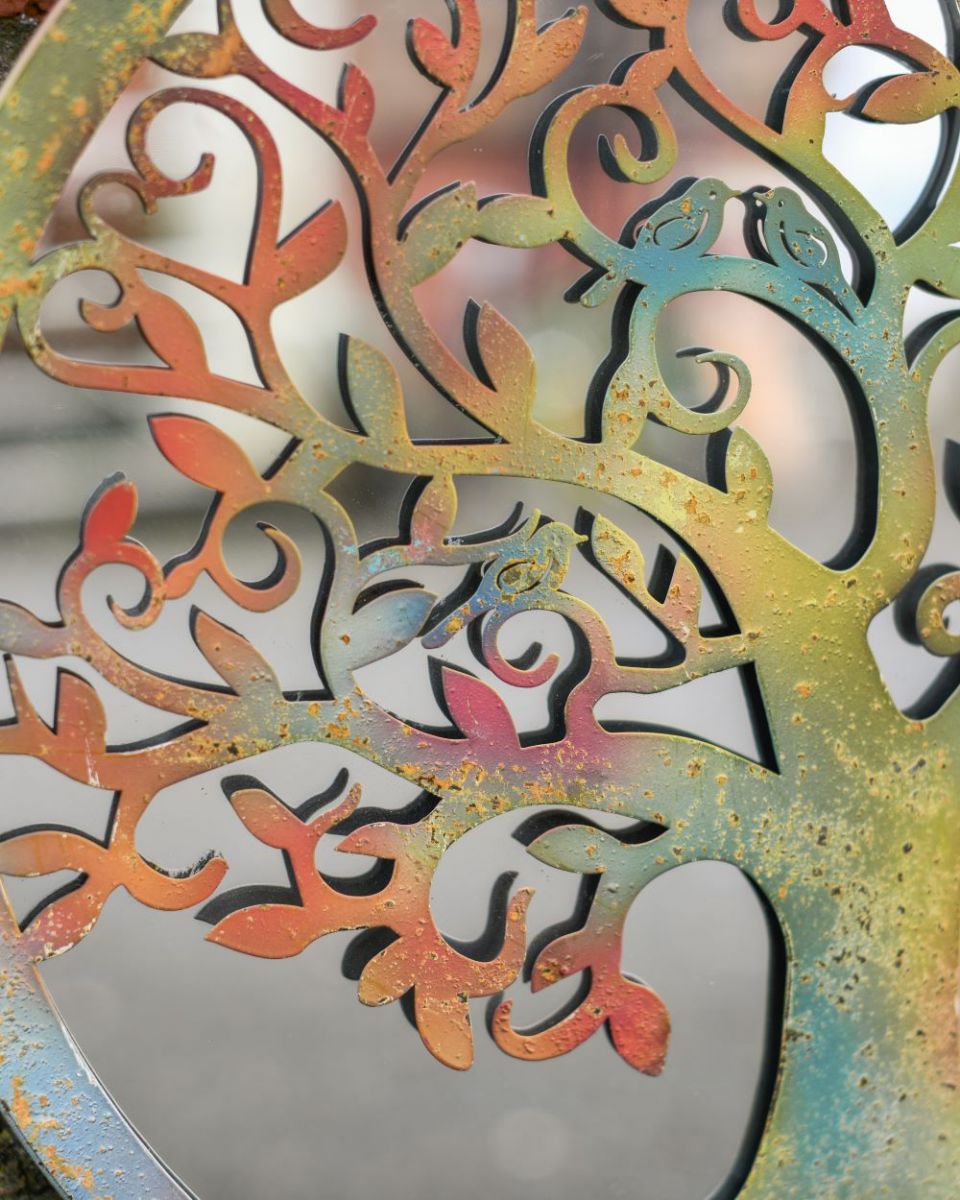 Close up of birds and mirror