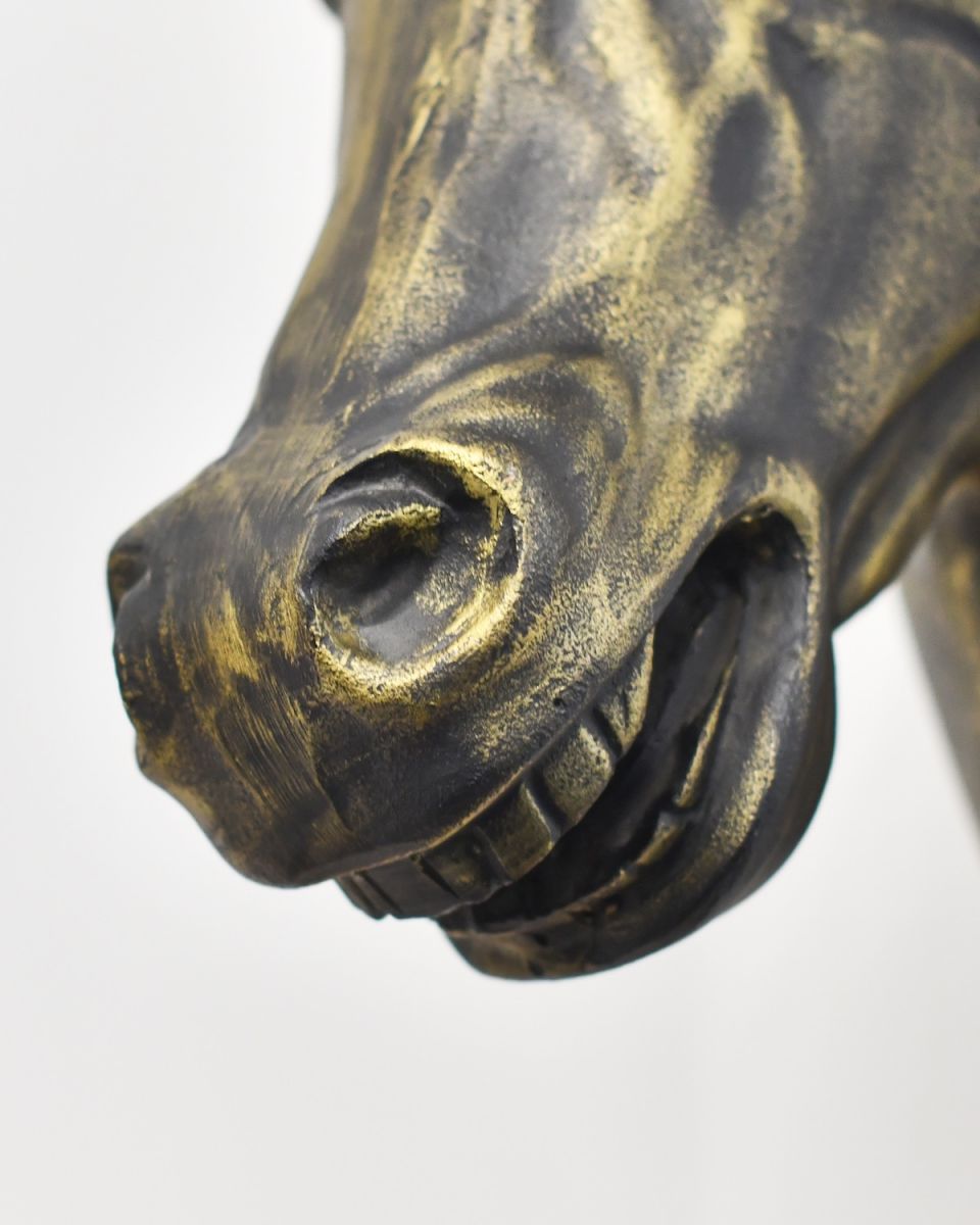 Close up of intricate face and muzzle detail on horse animal bust 