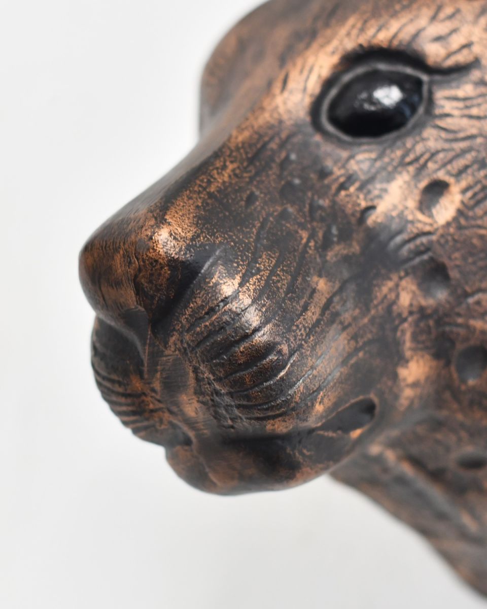 Close up of muzzle detail on leopard animal wall bust