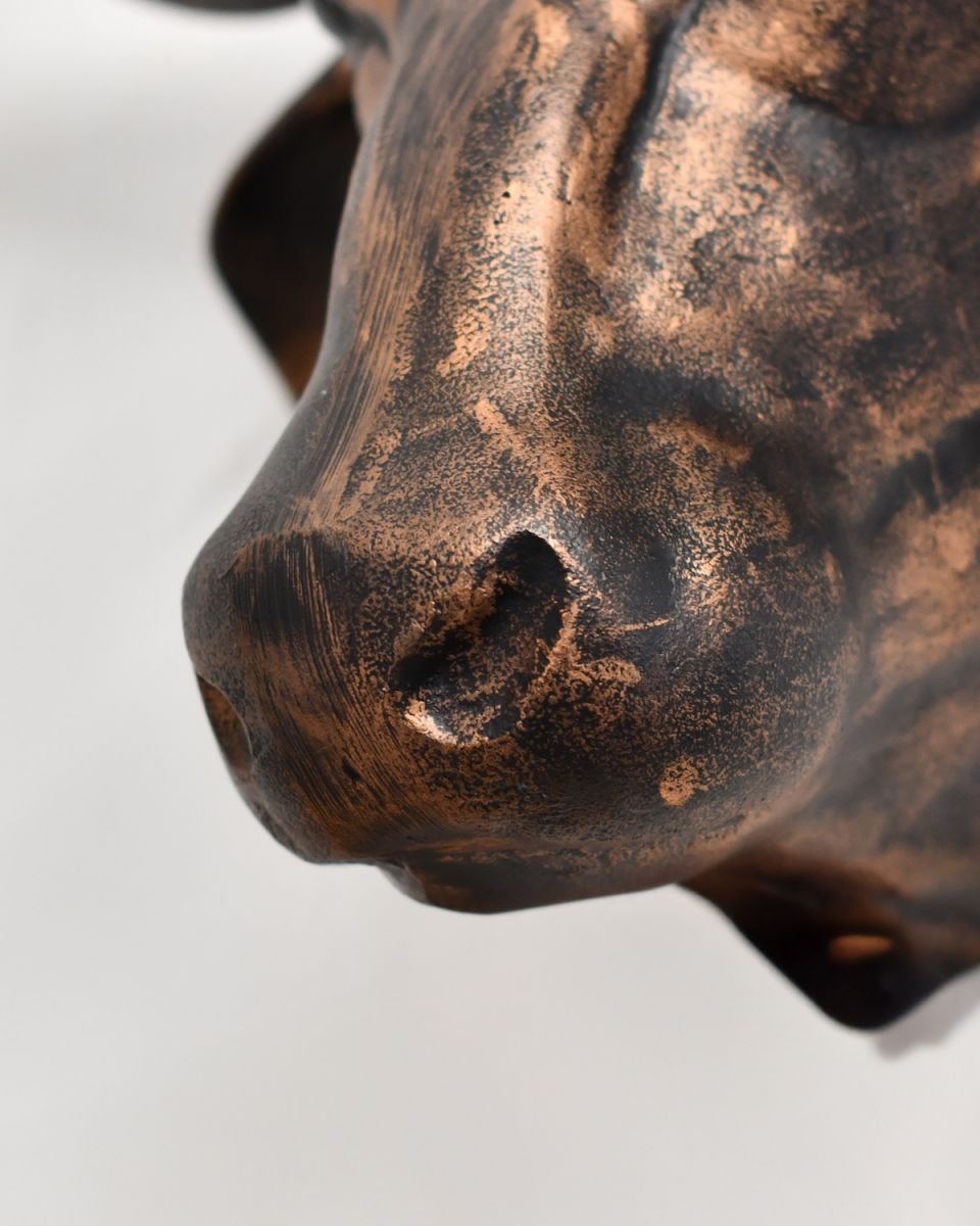 Close up of muzzle detail on copper animal head wall bust