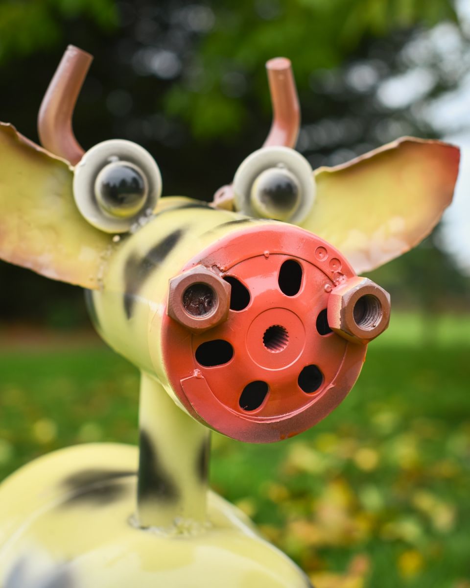 Close up of muzzle detail on recycled metal cow sculpture