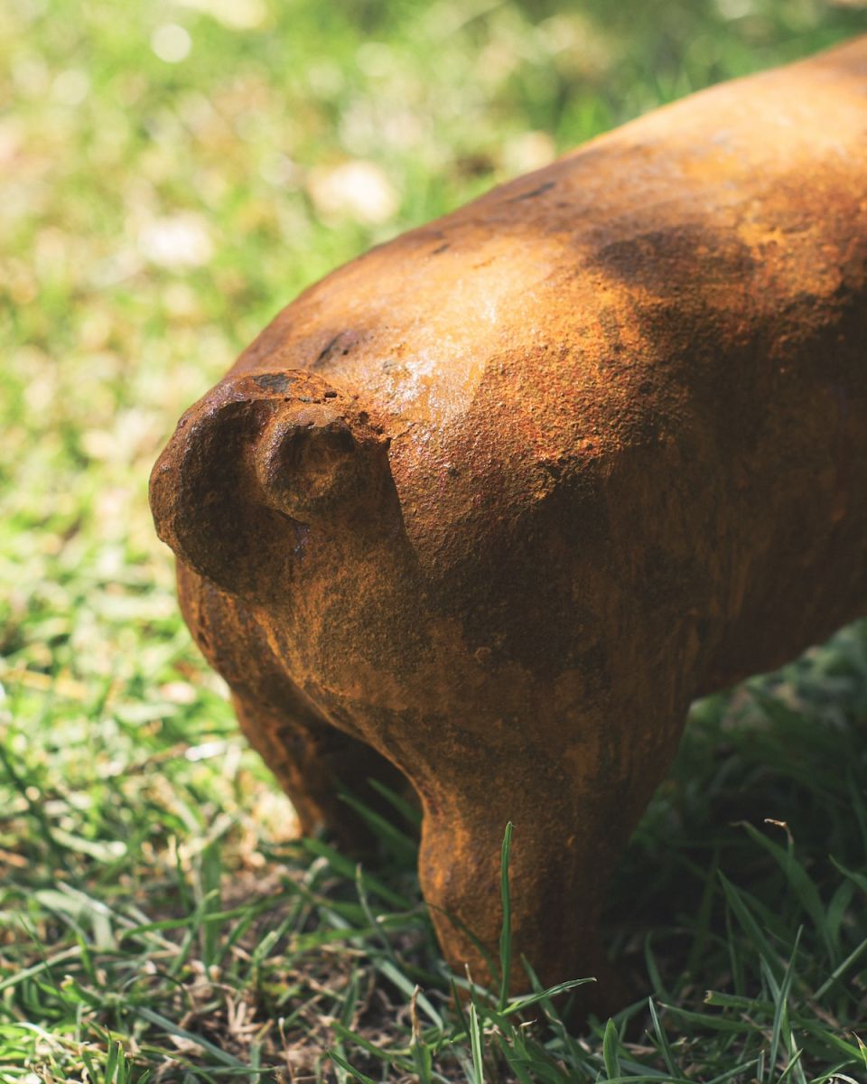 Close up of curly tail detail on rustic pig garden statue