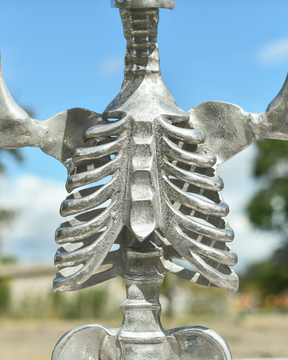 Close up of intricate rib detail on porch skeleton statue