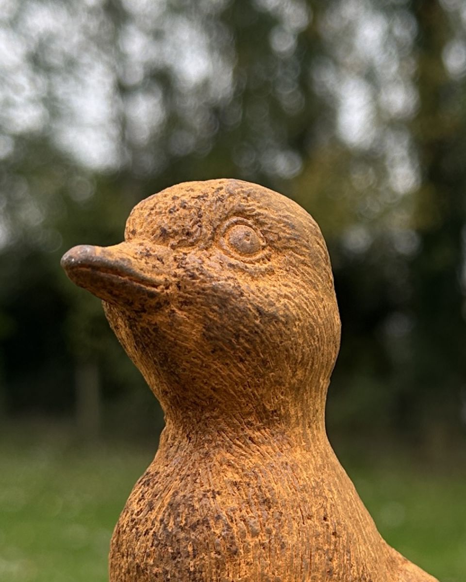 Close up of intricate detailing on rustic cast iron duckling garden sculpture