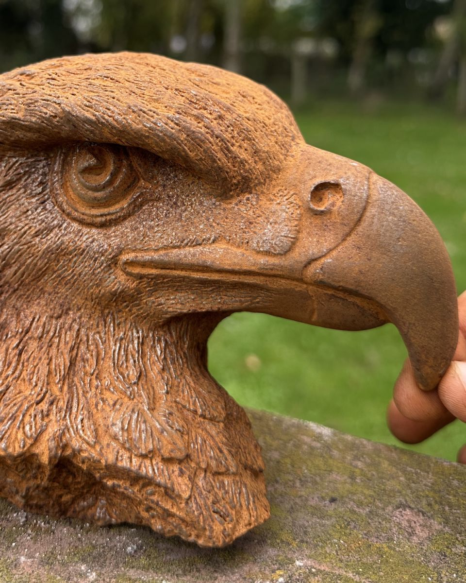 Close up of intricate detail on Rustic Cast Iron Eagle Bust Sculpture Close up of intricate detail on Rustic Cast Iron Eagle Bust Sculpture
