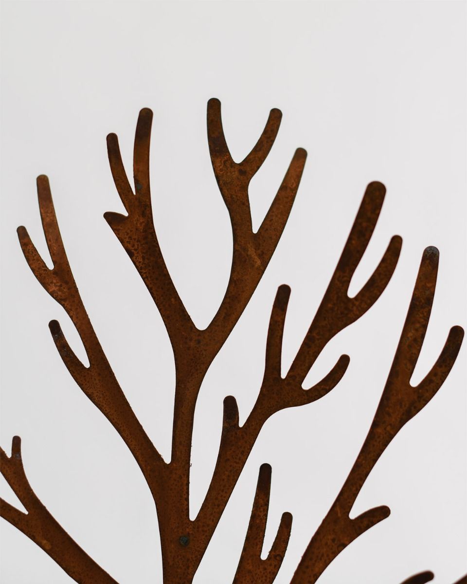 Close Up Of Rustic Tree Ornament 