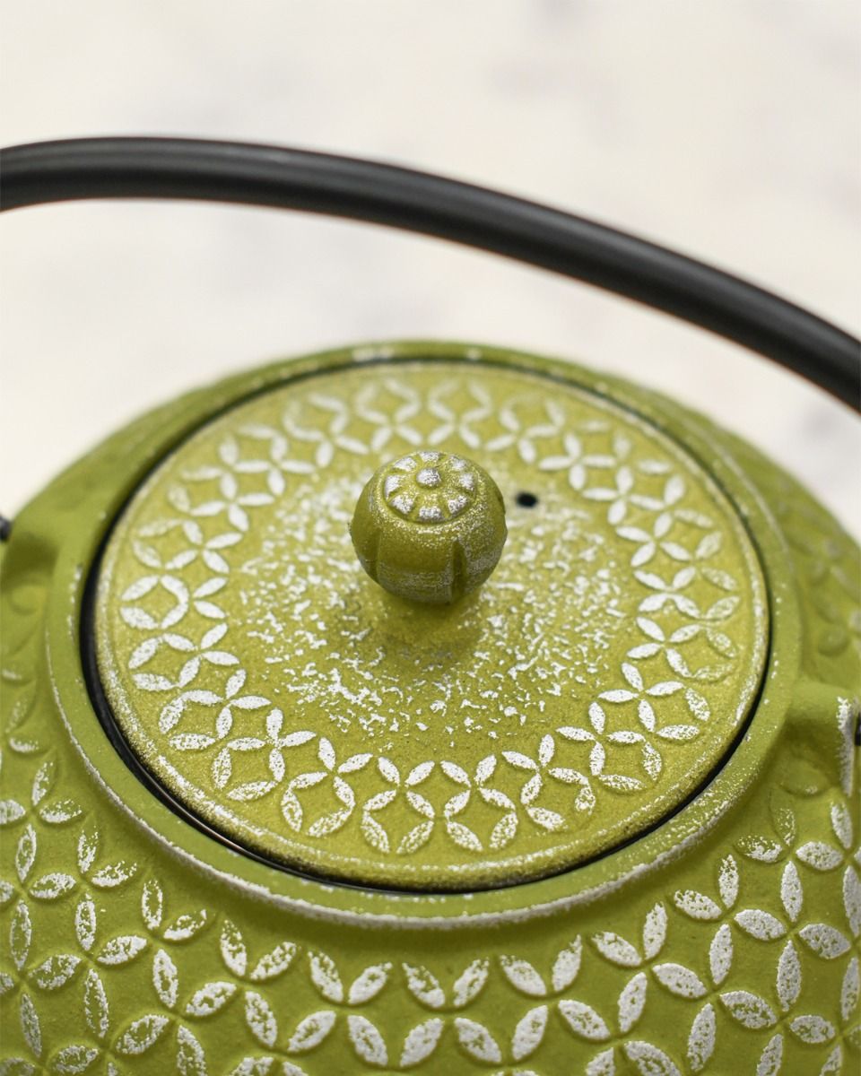 Close up of Green and Silver Lid and Handle 