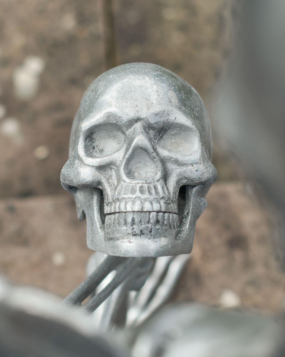 Close up of intricate skull detail on silver garden statue