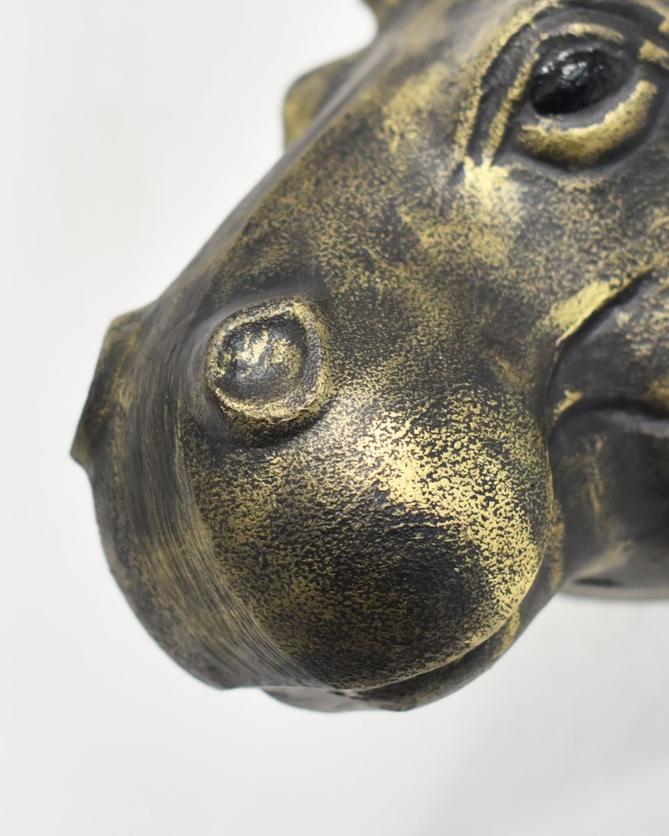 Close up of snout detail on gold hippopotamus head wall bust