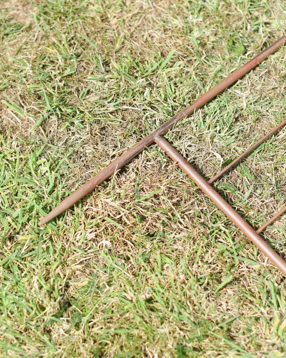 Close up of freestanding ground spike detail on plant trellis Close up of freestanding ground spike detail on plant trellis