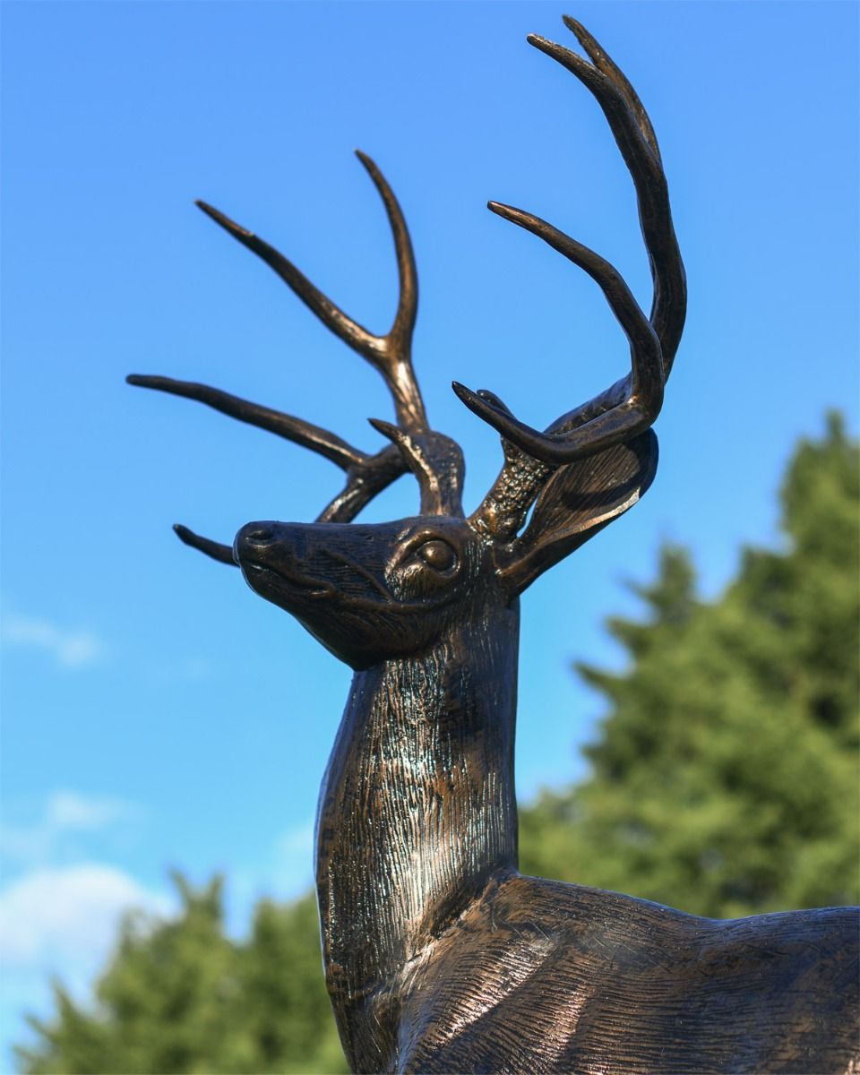 Close Up Of Brushed Bronze Stag 
