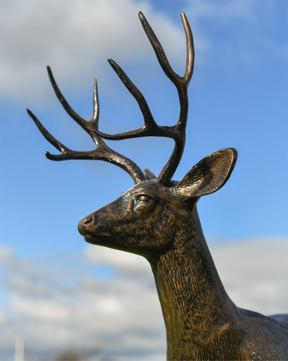 Close Up Of "Shadow" Buck Sculpture  Close Up Of "Shadow" Buck Sculpture