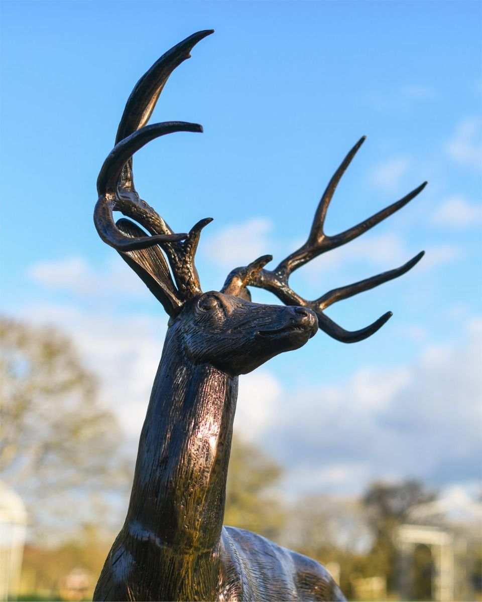 Close Up Of Brushed Bronze Stag 