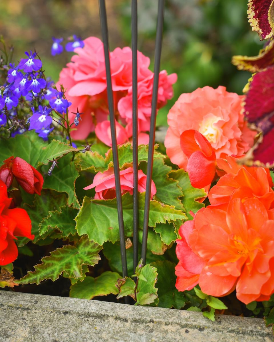 Close up of spike detail on "Ember" Triple Suncatcher Garden Stake