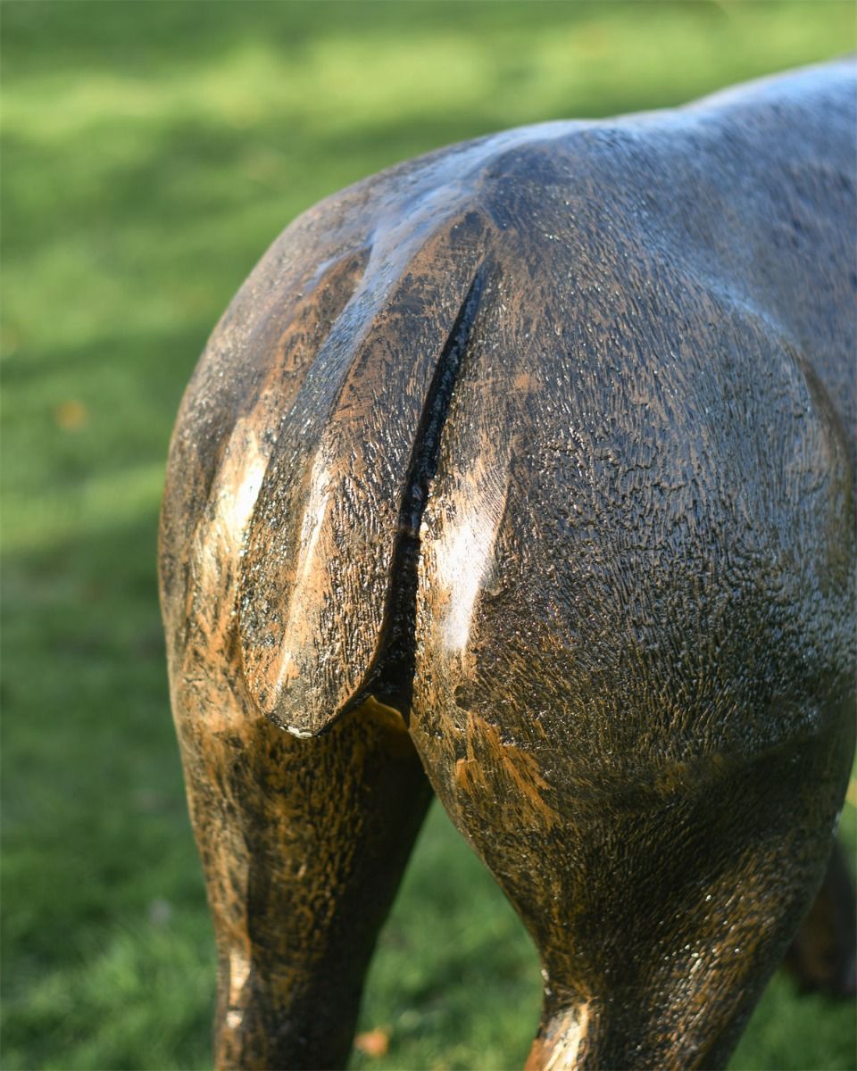 Close Up Of Doe Sculpture  Close Up Of Doe Sculpture