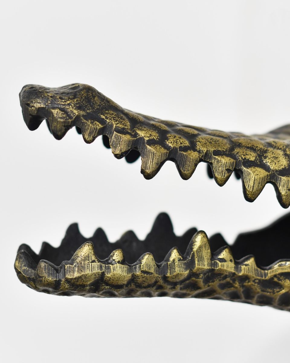 Close up of intricate teeth detail on crocodile wall bust