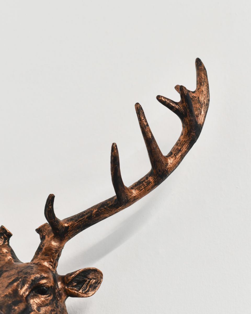 Close Up Of The Antler On The Stag Wall Bust In Aluminium