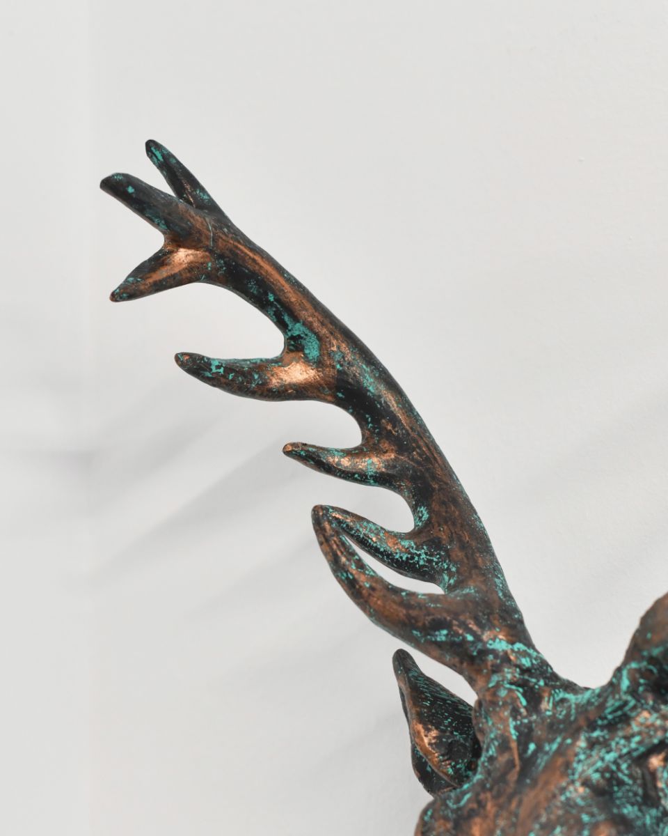 Close Up Of The Details On The Elk Wall Bust Close Up Of The Details On The Elk Wall Bust