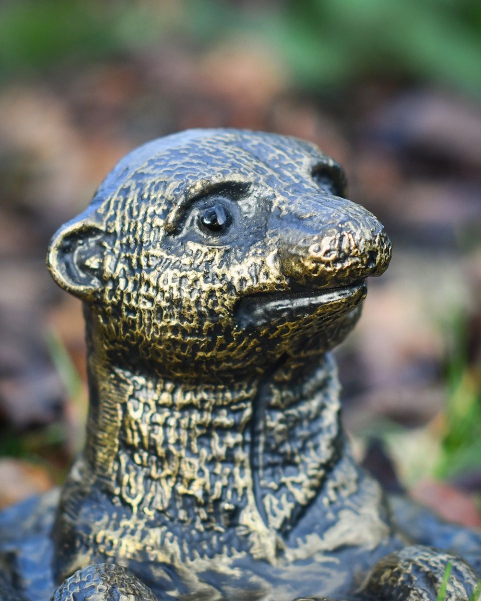 Close Up Of The Cast Aluminium Peeking Meerkat Sculpture