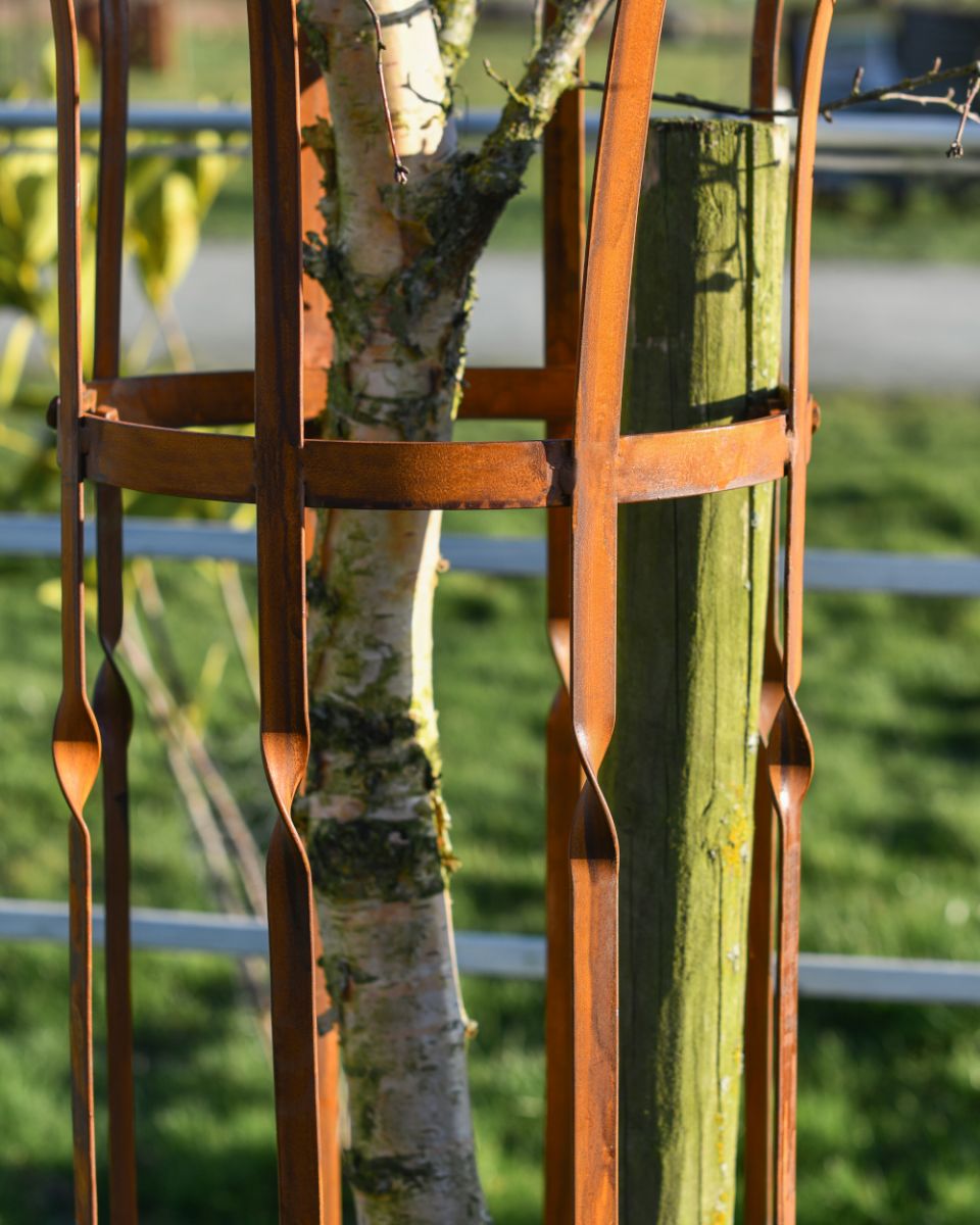Close Up Of The Ornate Design On The Wrought Iron Rustic Tree Guard