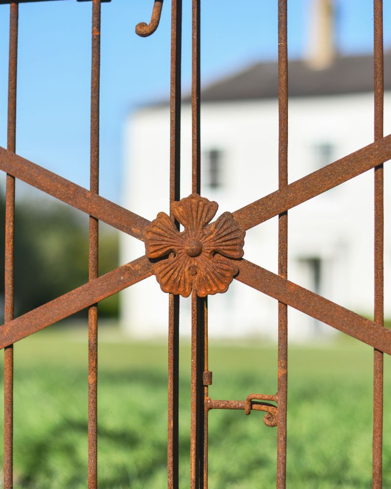 Close Up Of The Rose On The Ornate Rustic "Aesica" Garden Rose Arch With Gate