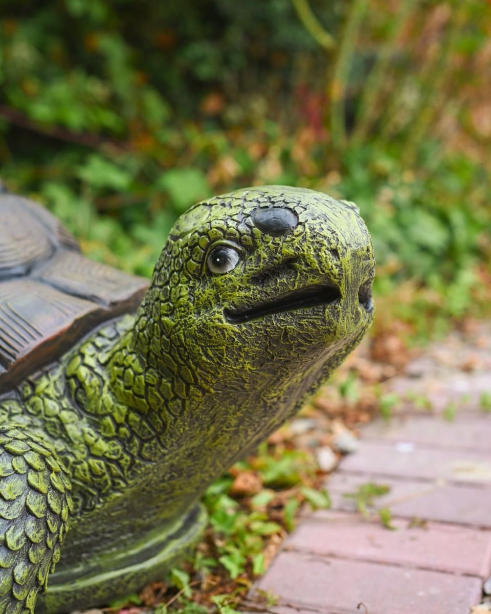 Close up of the Head of "Terrence" the Tortoise Fibreglass Garden Ornament