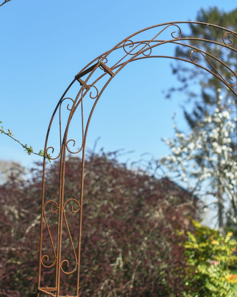 Ornaste Details On The Othona Rose Arch
