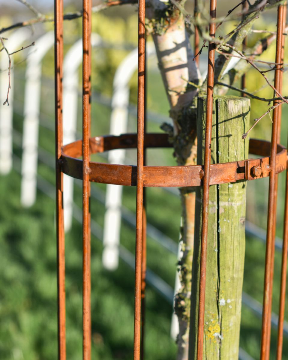 Close Up Of The Rustic Design On The Fernhill Tree Guard