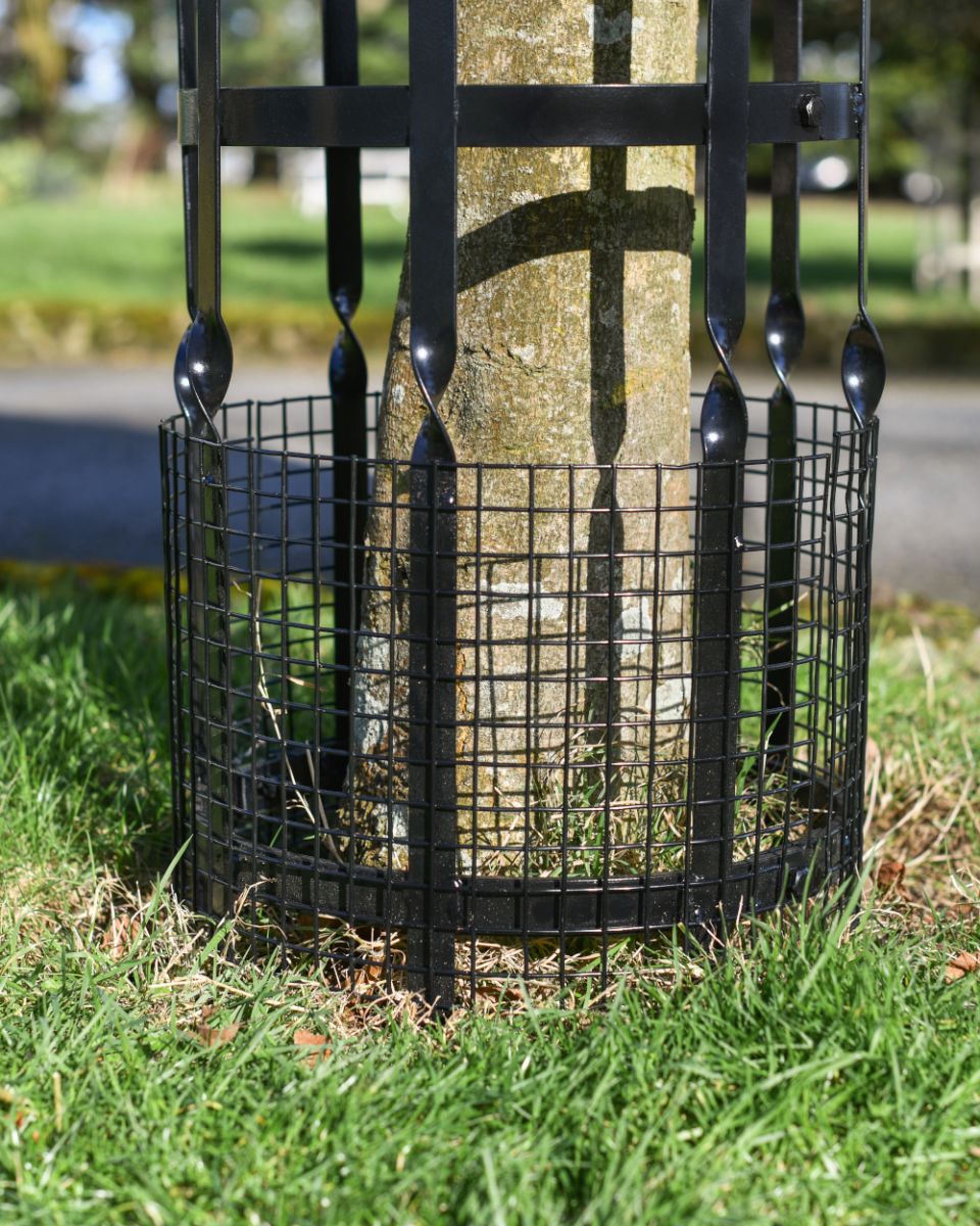 Details Ob The Beeston Tree Guard Crafted From Wrought Iron