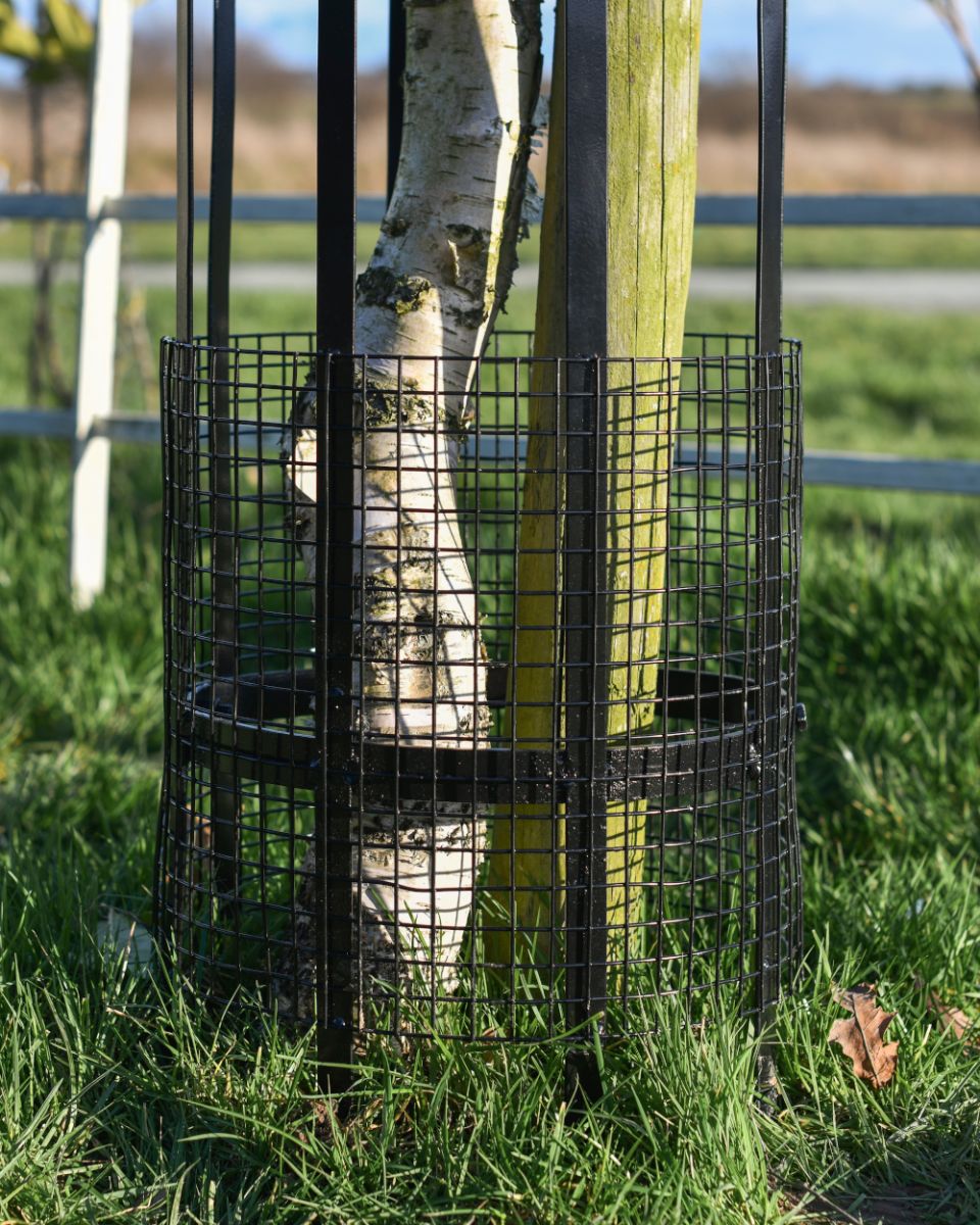 Close up Of The Wire To Prevent From Pests 