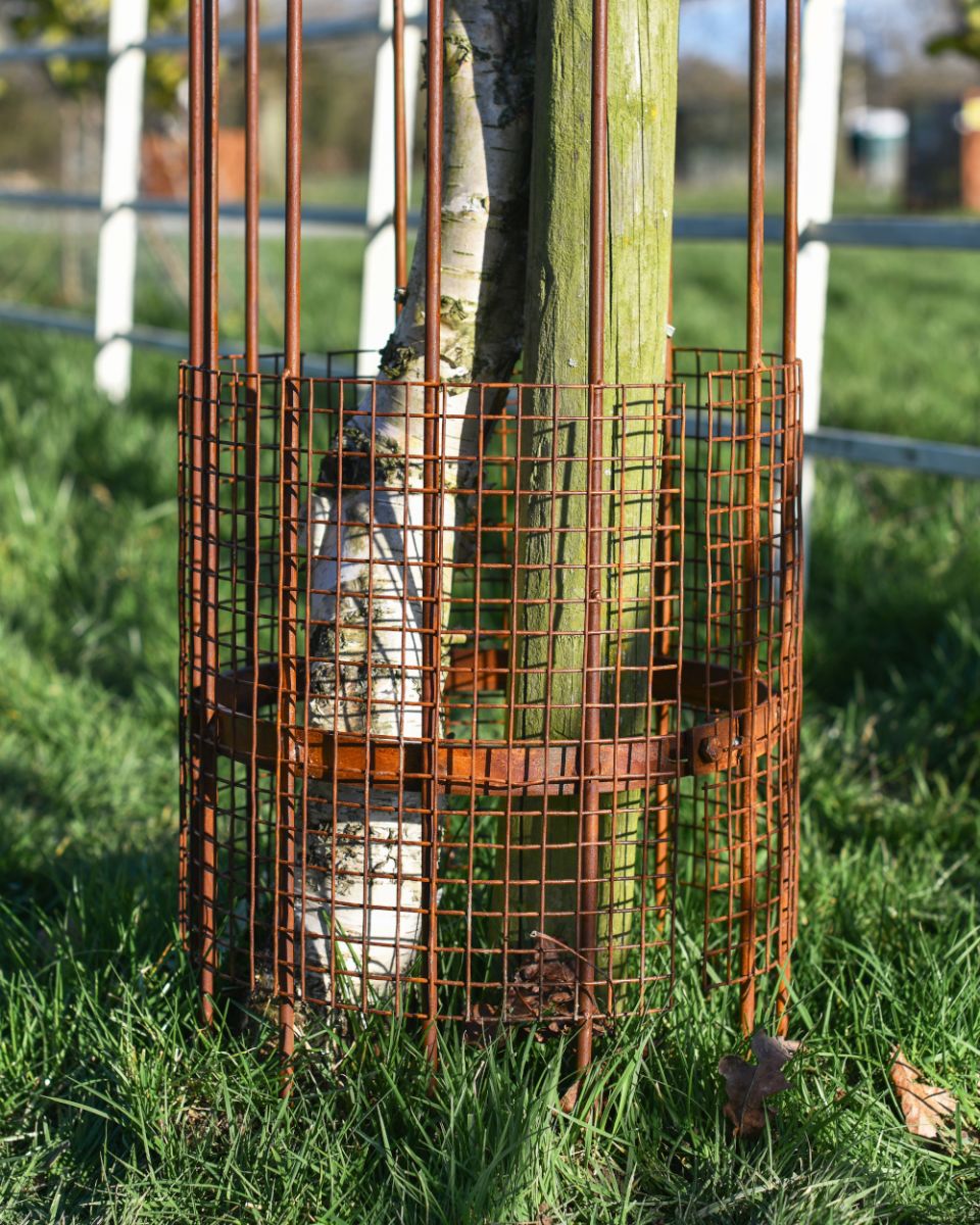 Complete With A Wire Cover To Keep Pests Out