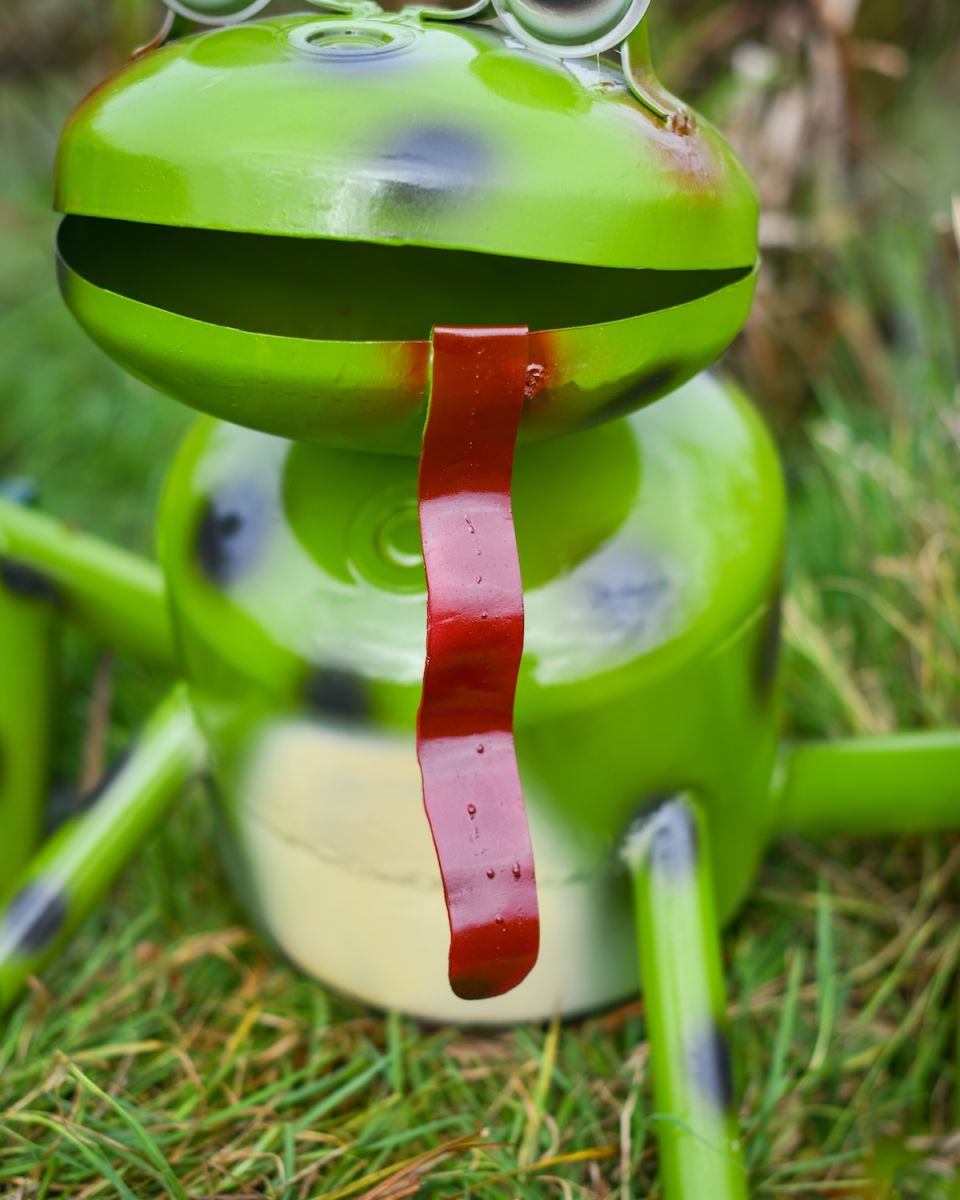 Close up of intricate tongue detail on recycled gas cannister frog outdoor sculpture