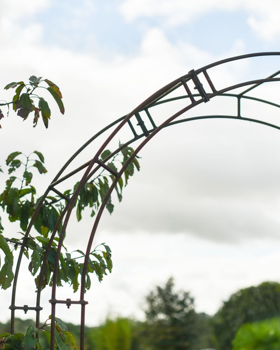Close up of minimalist detailing on garden rose arch