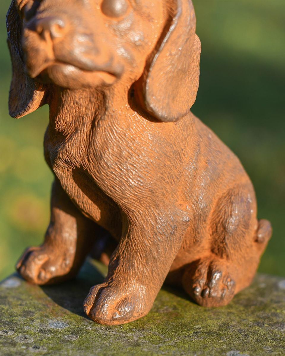 Close Up of Sitting Dog Garden Sculpture On Wall Close Up of Sitting Dog Garden Sculpture On Wall