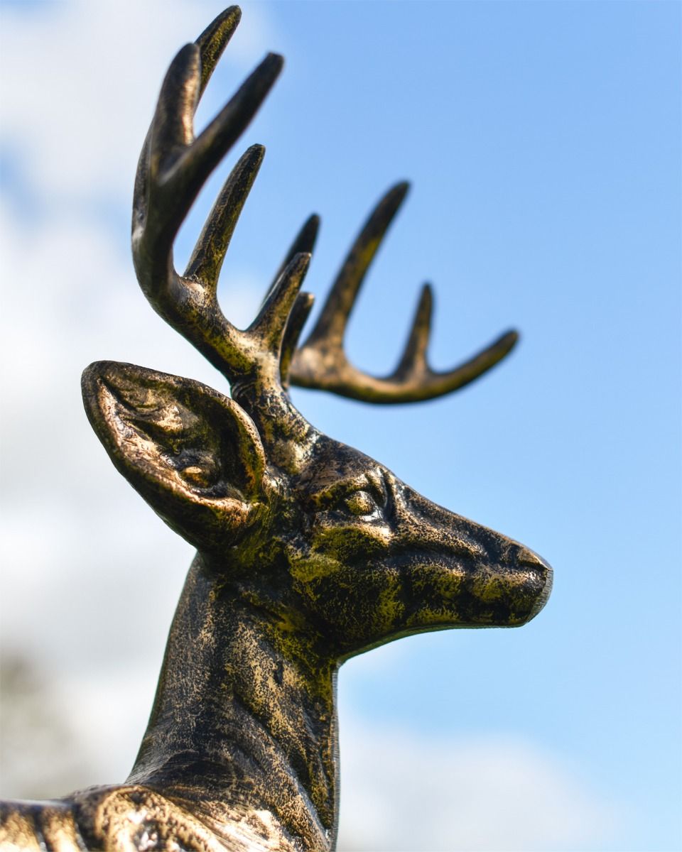 Close up of Brushed Gold Stags Face and Antlers 