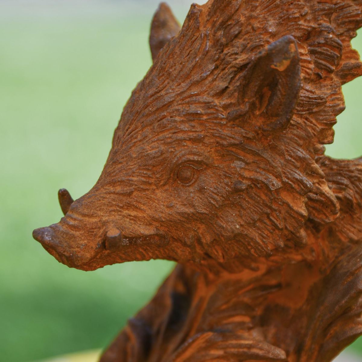 Close-Up of Rustic Cast Iron Warthog Head Bust Sculpture Close-Up of Rustic Cast Iron Warthog Head Bust Sculpture