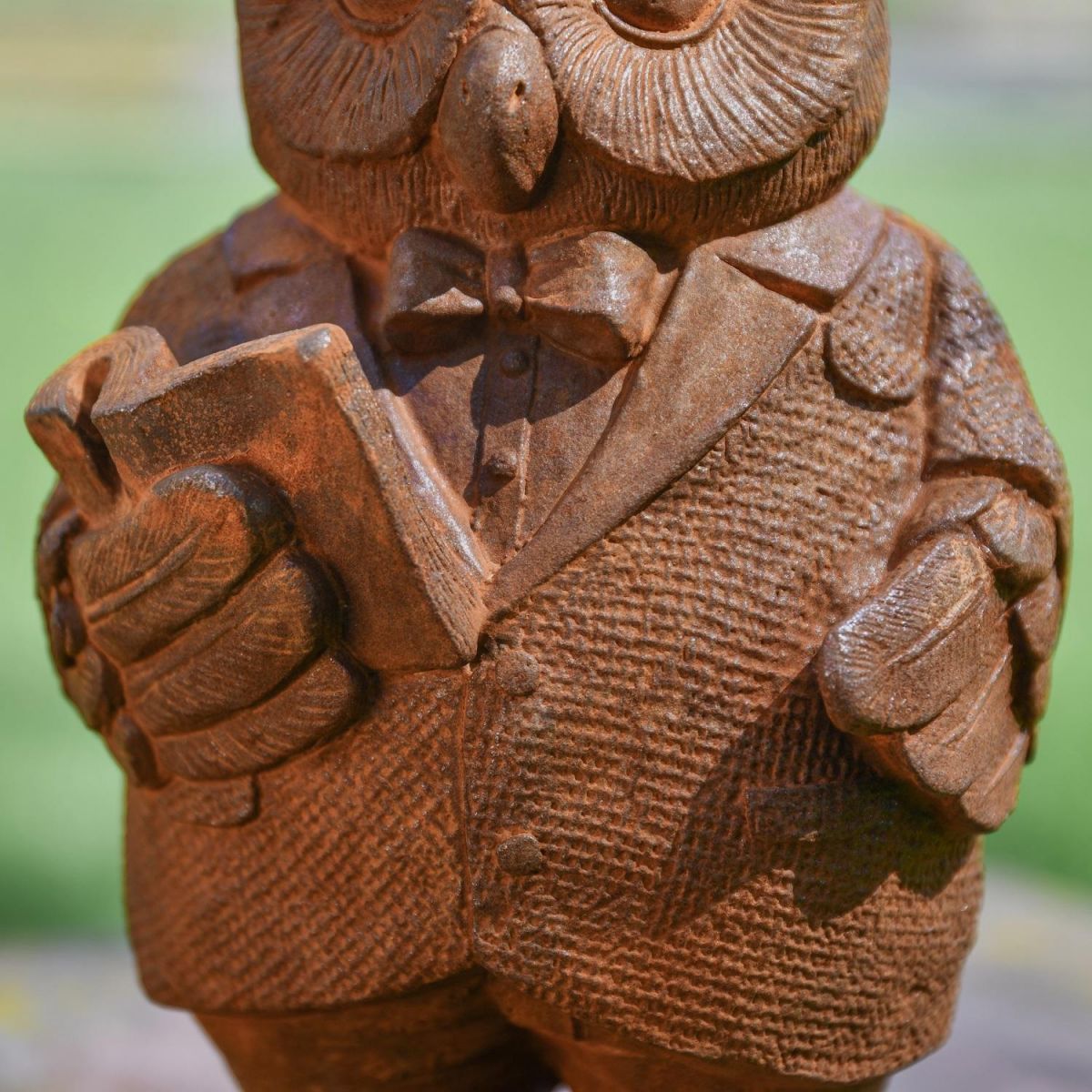 Close up of Body on Noble Owl  Close up of Body on Noble Owl