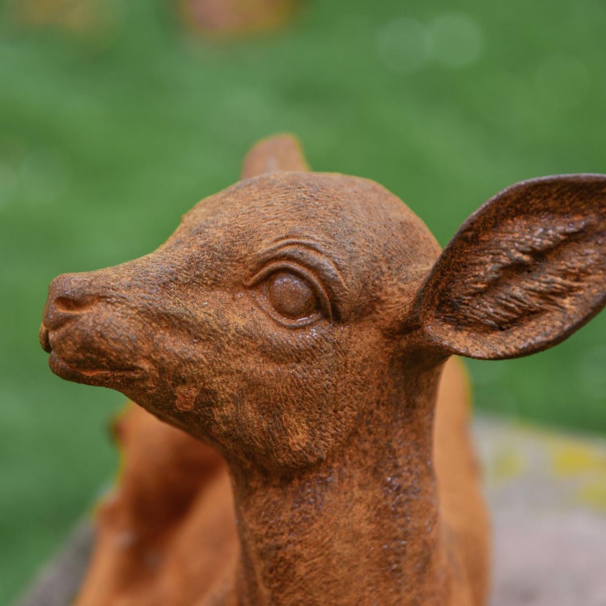 Close-Up of Facial Detail Close-Up of Facial Detail