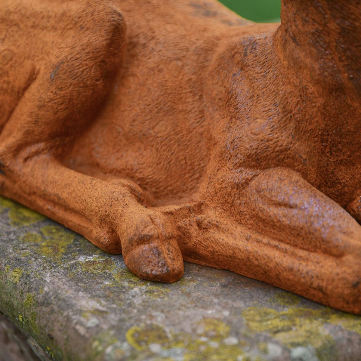 Close-Up of Body Detail Close-Up of Body Detail