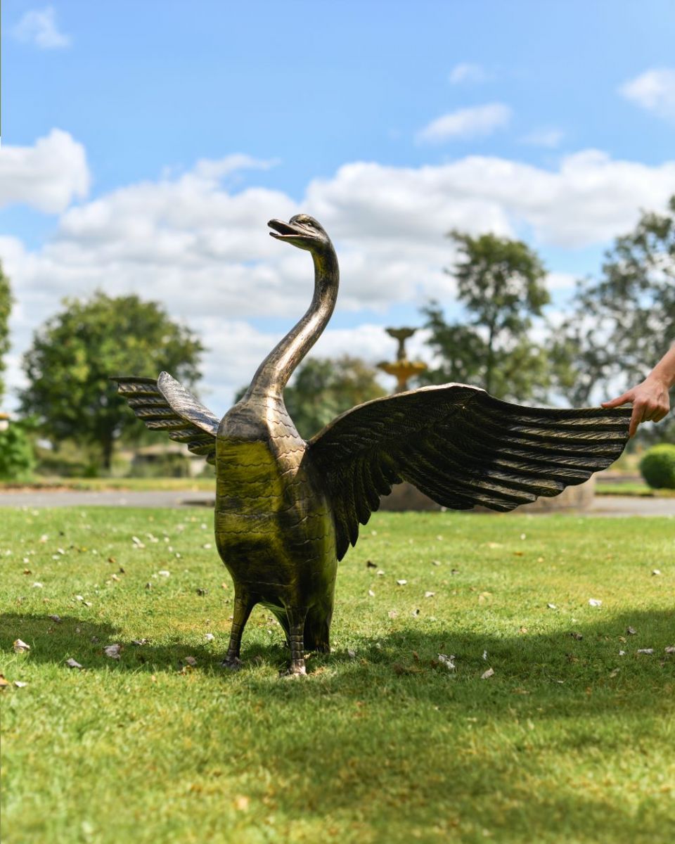 Scale image of Black and Gold "Conqueror" Swan Sculpture