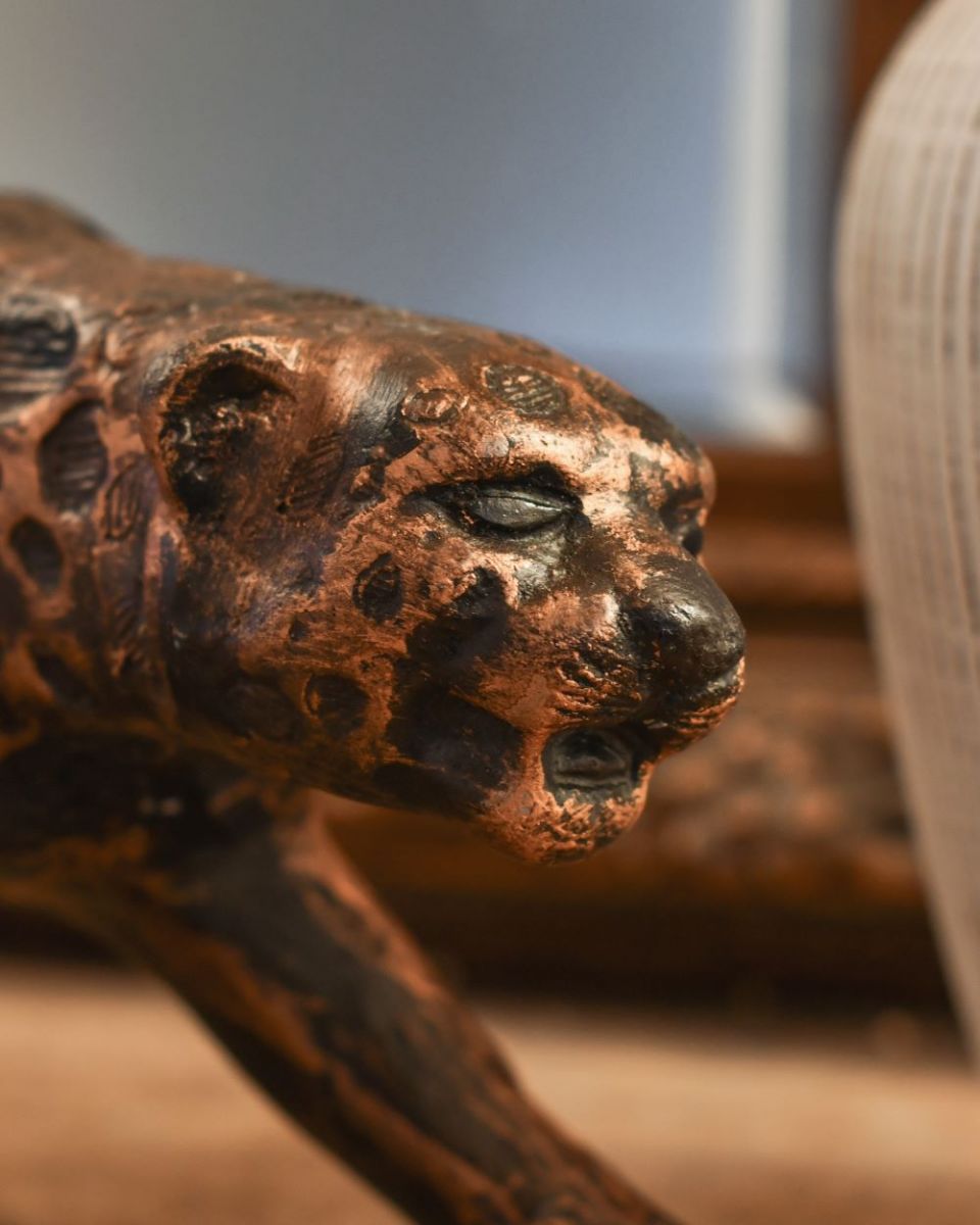 Close up of leopard head