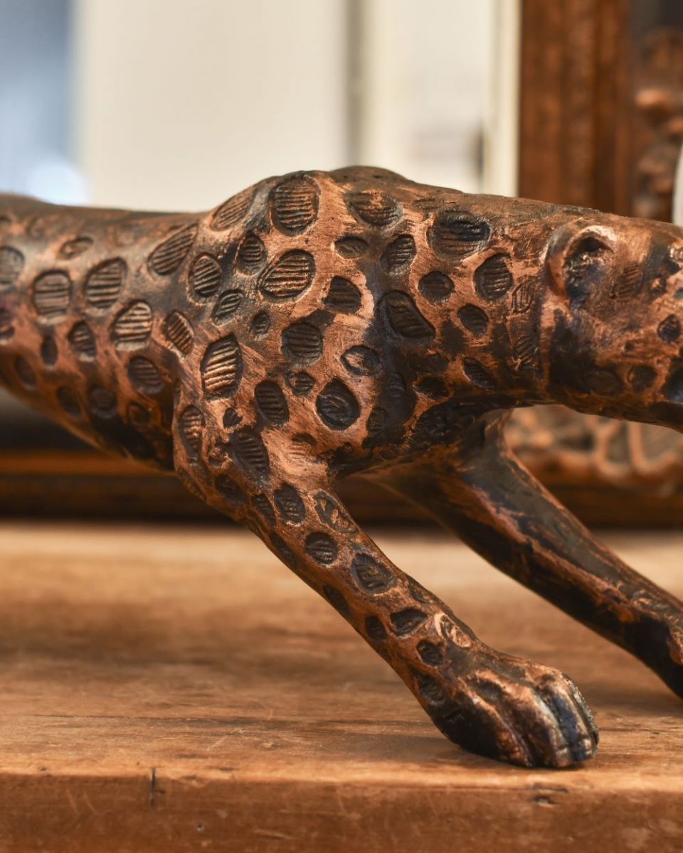 Close up of leopard shoulder