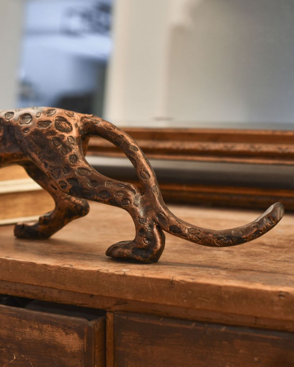 Close up of leopard tail