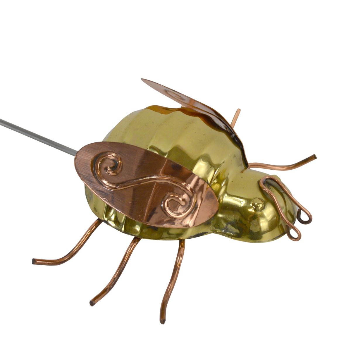 Close-up of the Copper Bumble Bee