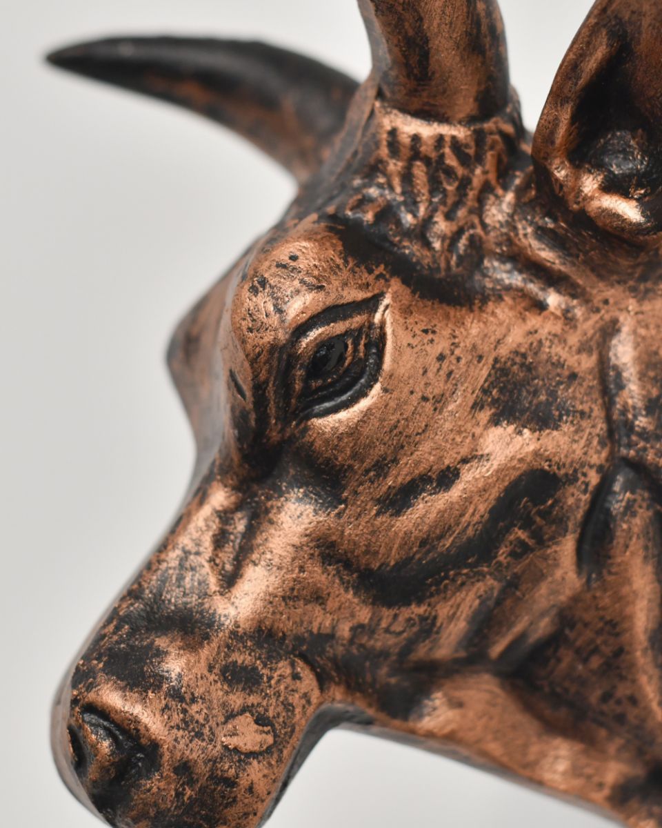 Copper Bull Wall Bust Close Up Details Copper Bull Wall Bust Close Up Details