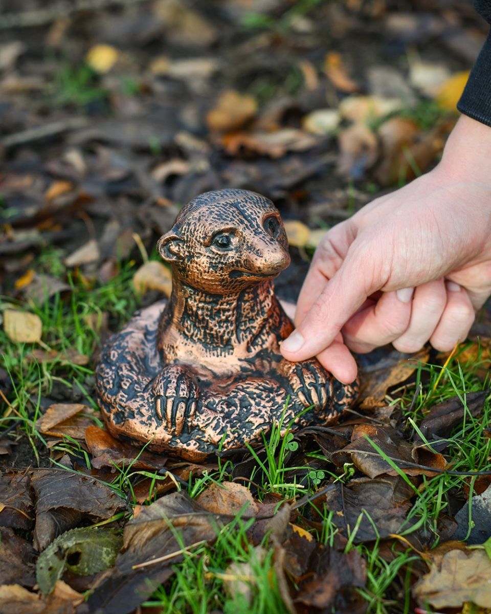 Scale Of The Copper Cast Aluminium Peeking Meerkat Garden Sculpture