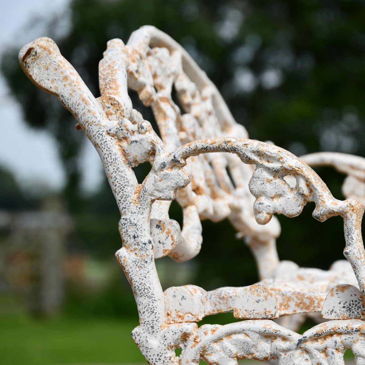 Close up of Antique Cream Tree Branch Bench