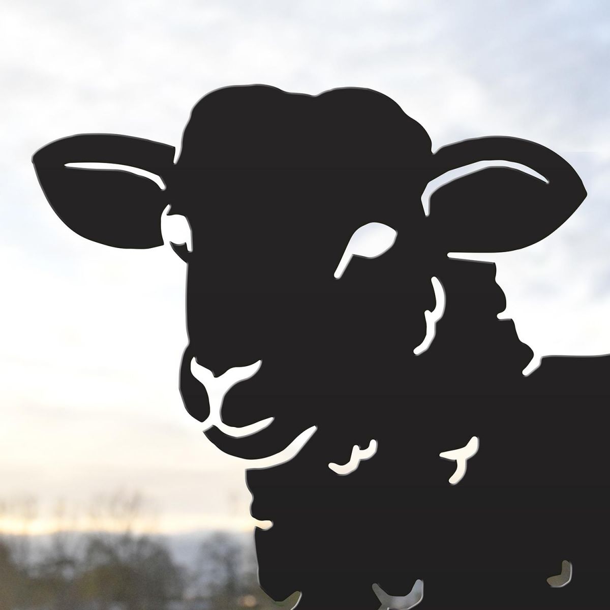 Close-up of the Head on the Curly Lamb Silhouette