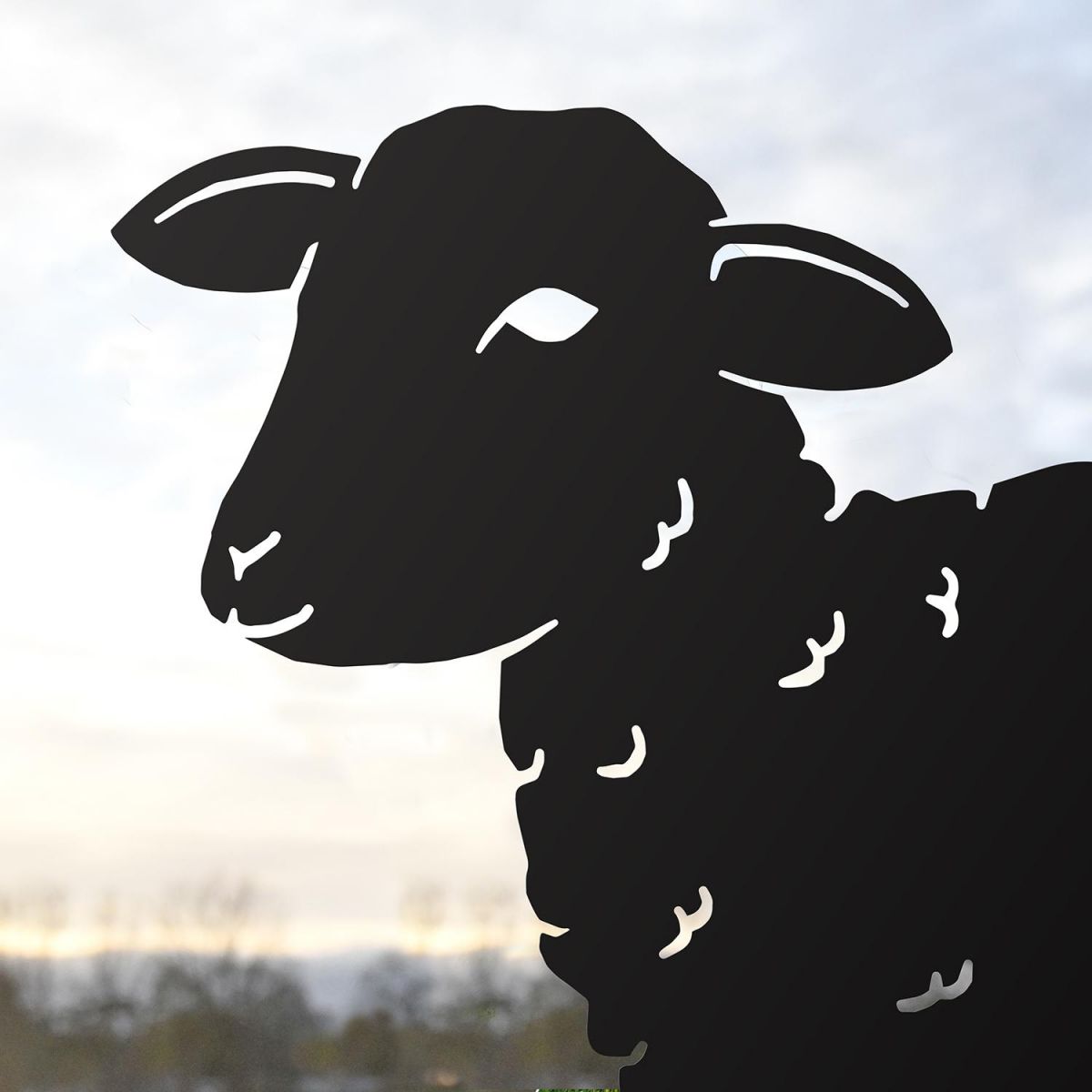 Close-up of the Head on the Curly Lamb Silhouette